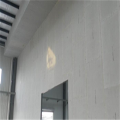 肇庆宁波ALC板|EPS加气板隔墙与混凝土整浇联接的实验研讨